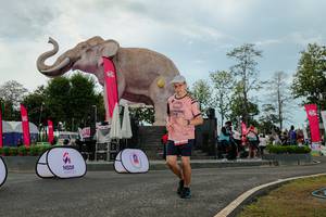 BIB: 
                            <button type="button" onclick="openModal(26528935)" class="btn btn-primary btn-sm float-right btn-popup" data-toggle="modal" data-target=".modal-high-quality">
                        <i class="fas fa-shopping-cart"></i> Add to Cart
                    </button>
                                            <button type="button" onclick="isThisMe(26528935, true)" class="btn btn-success btn-sm float-right btn-popup btn-isme hidden" data-toggle="tooltip" data-placement="bottom" title="นี่คือรูปของคุณใช่ไหม คลิกที่นี่เพื่อเอาเข้าอัลบั้ม">
                        <i class="fas fa-plus"></i> Add to album
                    </button>
                    <button type="button" onclick="isThisMe(26528935, false)" class="btn btn-warning btn-sm float-right btn-popup btn-isnotme hidden">
                        <i class="fas fa-ban"></i> Remove from album
                    </button>